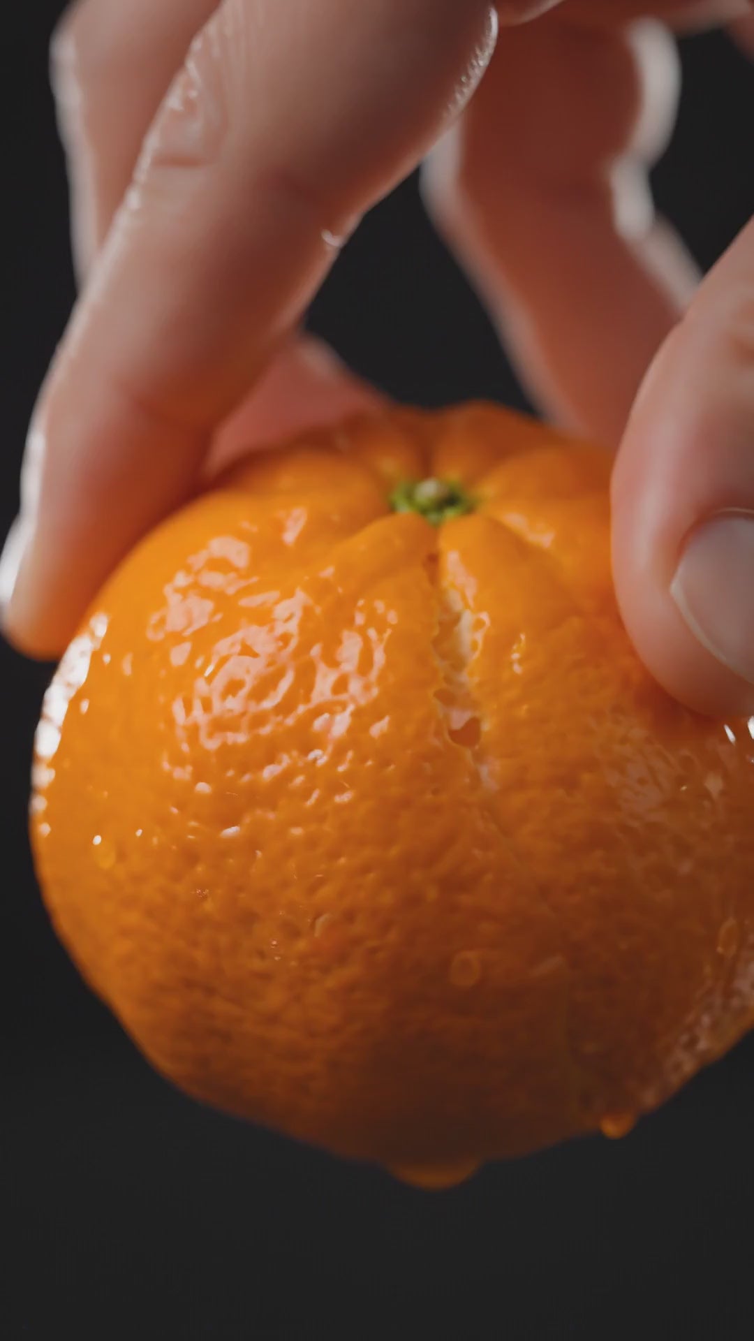 Demeter Mandarin Orange - Citrus Burst Sensory Reel